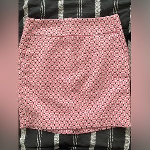 Ann Taylor skirt